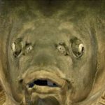 绿皮佬的头像-神威潮社